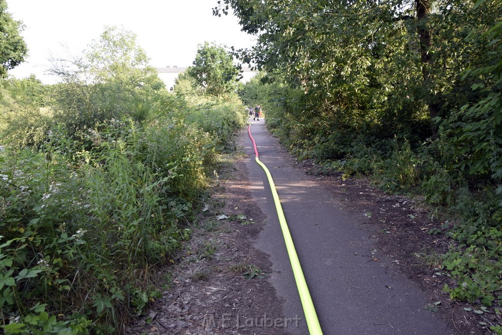 Waldbrand Koeln Hoehenhaus Hoehenfelder Mauspfad P045.JPG - Miklos Laubert